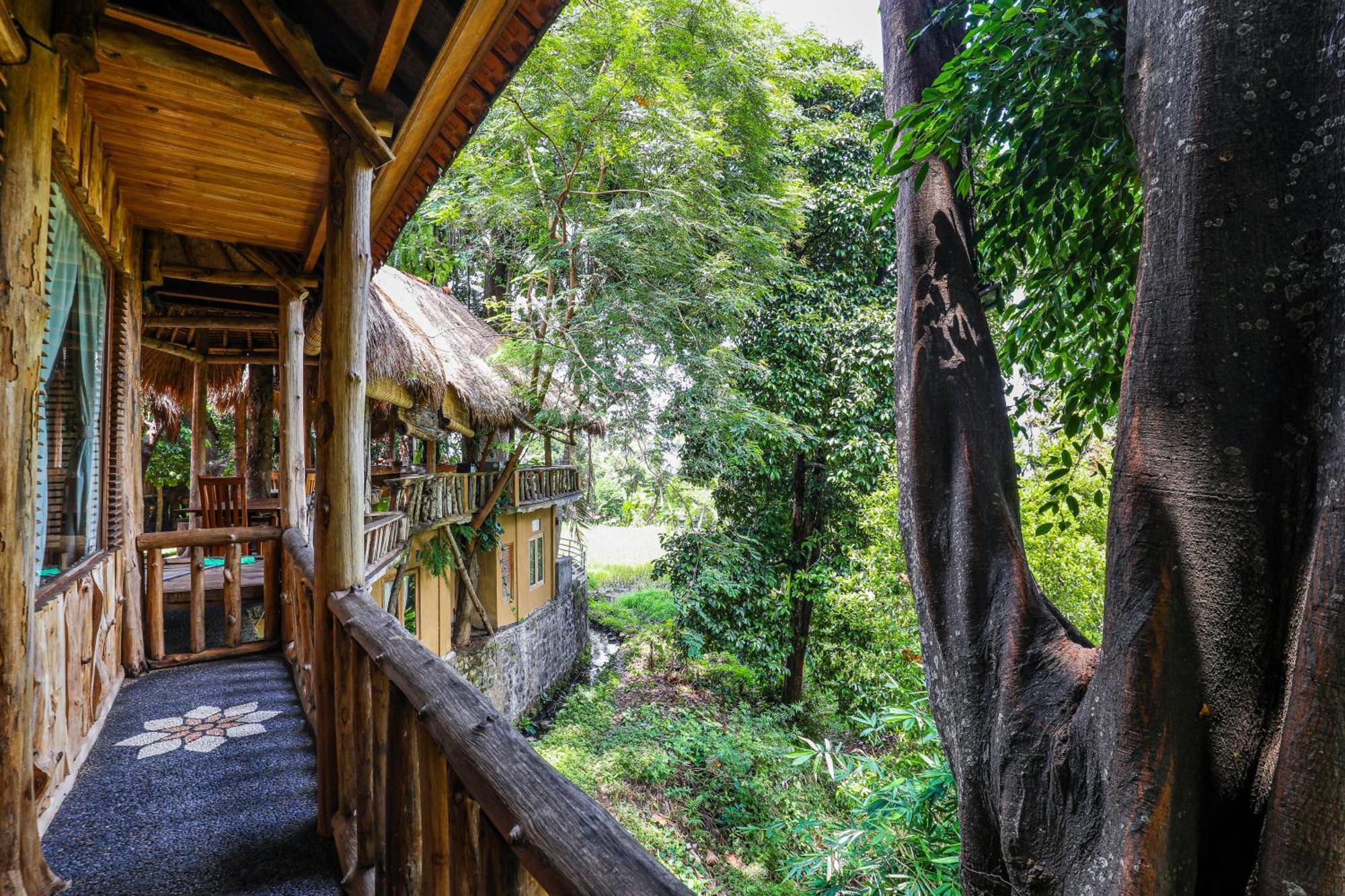 Omunity Bali 호텔 싱가라자 외부 사진