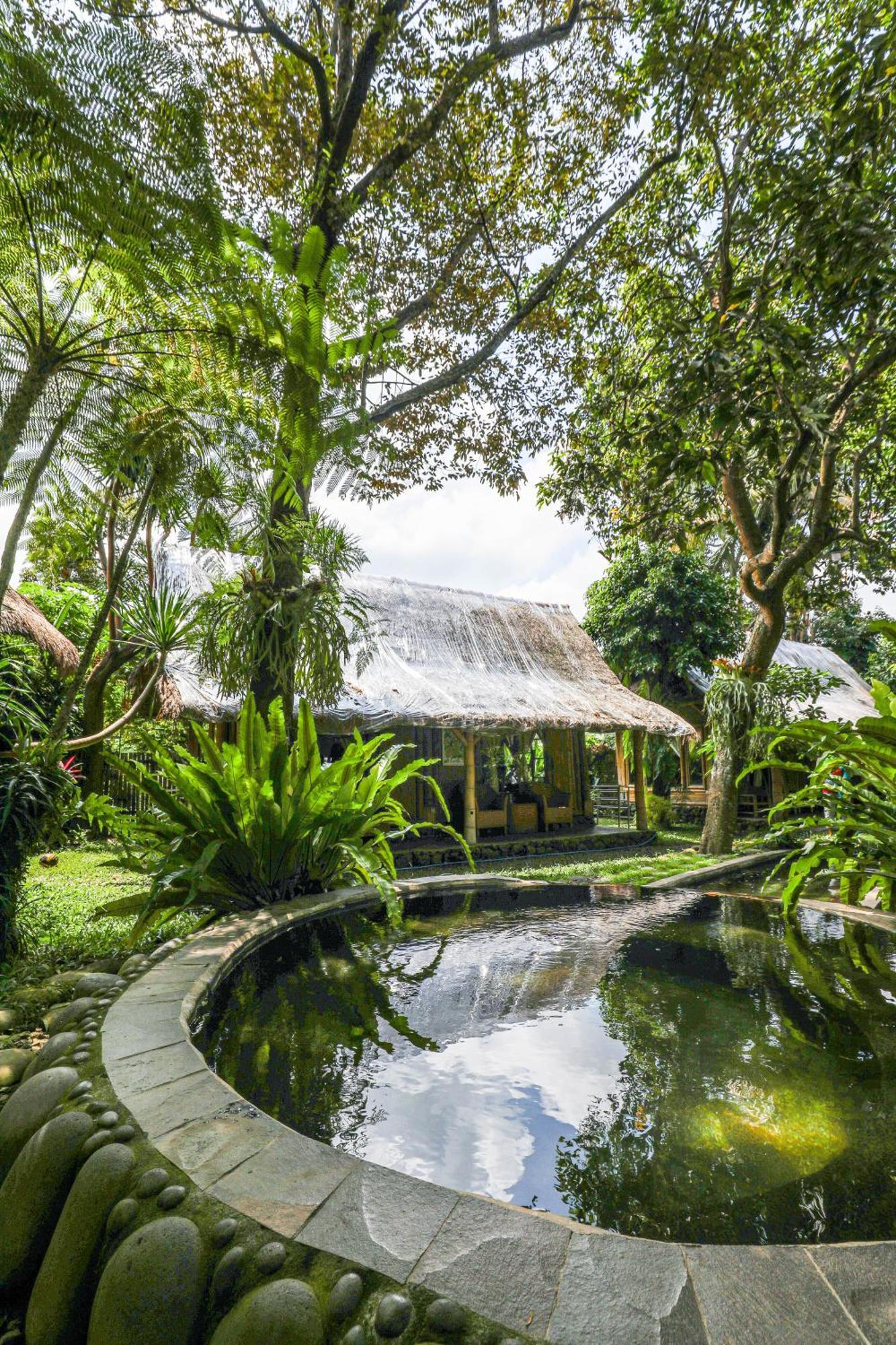Omunity Bali 호텔 싱가라자 외부 사진